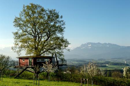 Frühling_Baumhaus 1.jpg