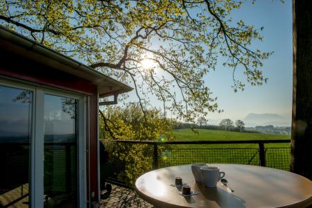 Frühling_Baumhaus 2.jpg