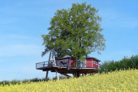 Frühling_Baumhaus 5.jpg