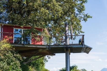 Frühling_Baumhaus 6.jpg