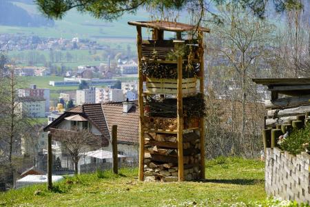 Lebensturm_Hitzkirch1.JPG